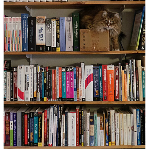 Boekenkast